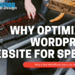 why optimize a wordpress website for speed